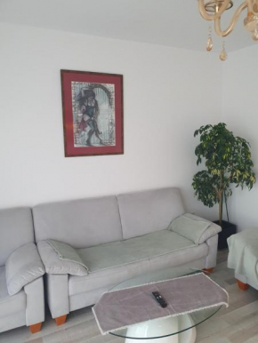 Purple apartament